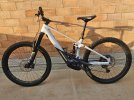 Orbea Wild FS 2024 M20 custom Taglia M