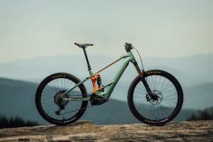 Orbea Wild